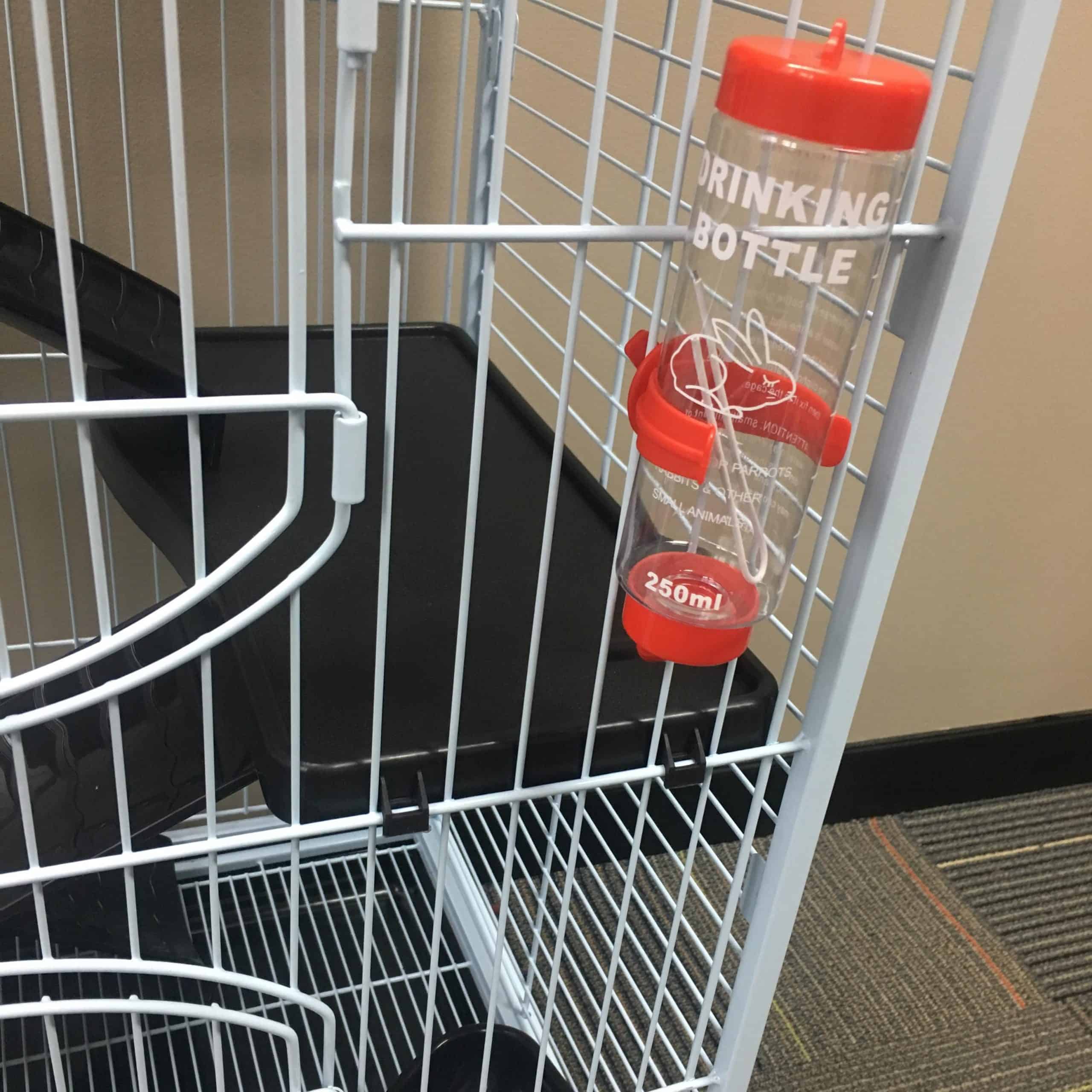 Laura Guinea Pig Cage