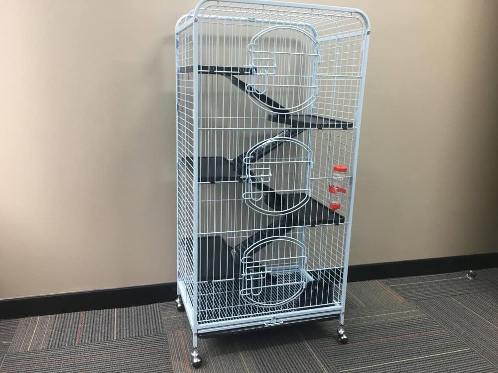 Laura Guinea Pig Cage